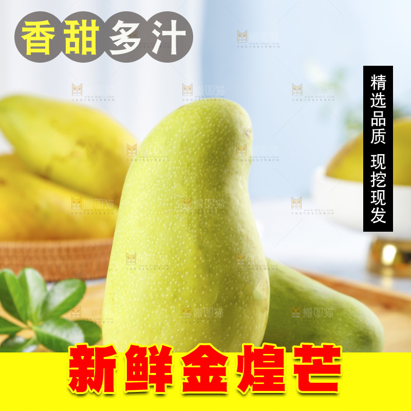 木板上放着金煌芒
