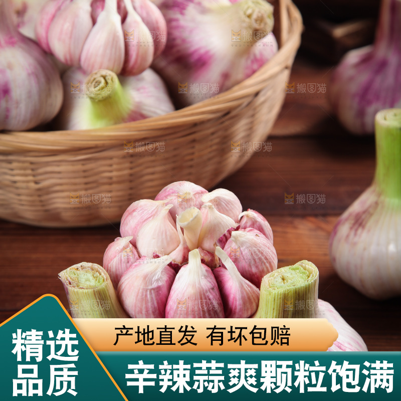 木底上的大蒜头