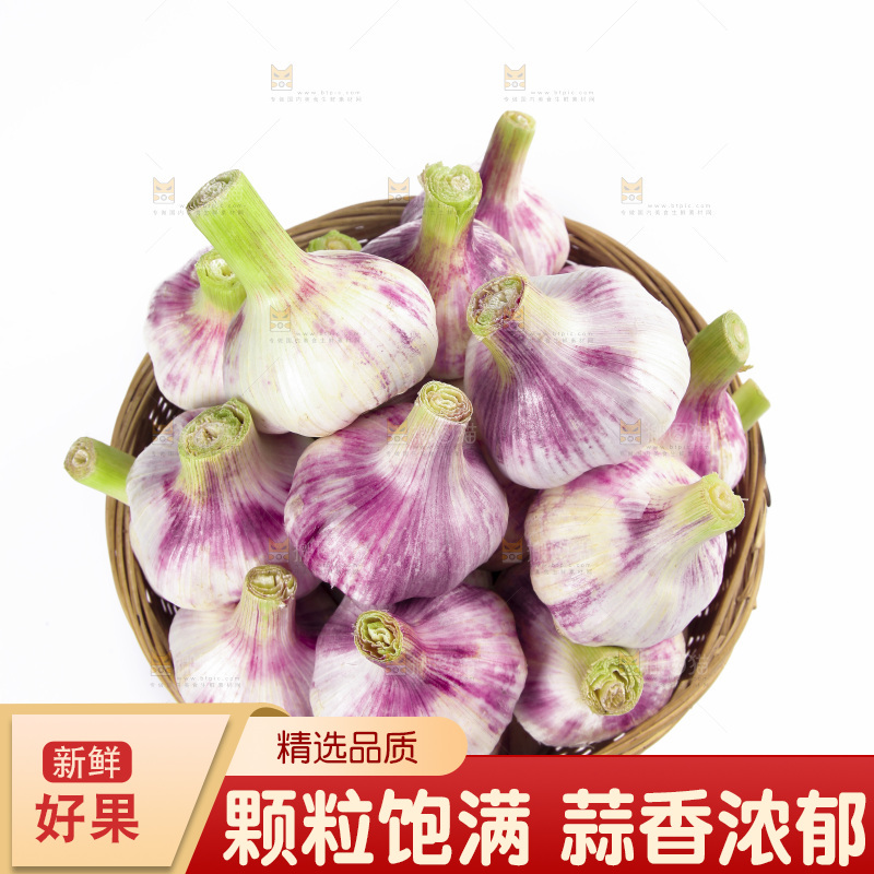 白底上放着一篮新鲜大蒜