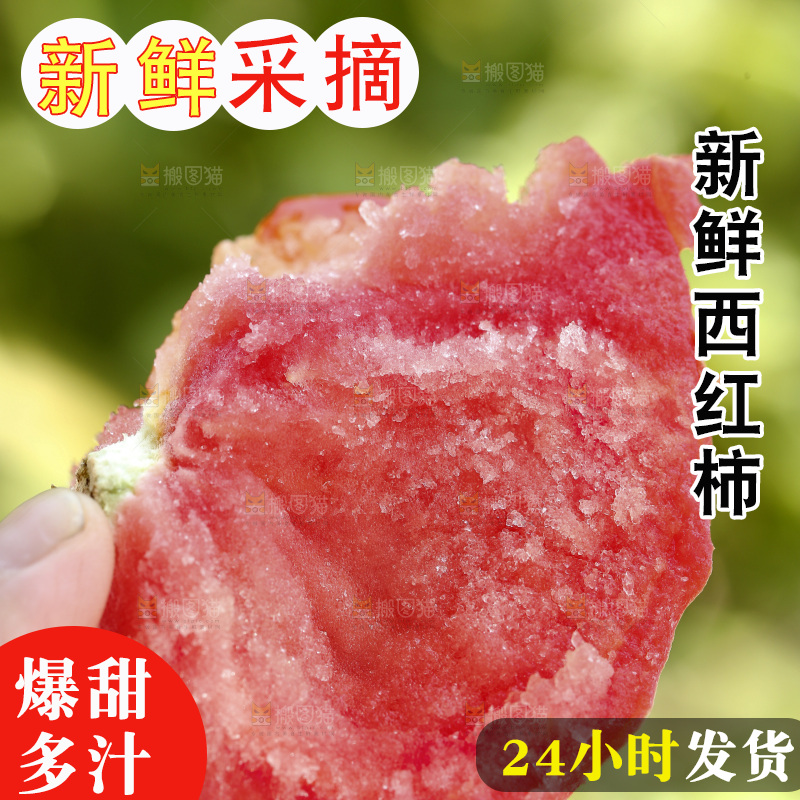 手里拿着沙瓤西红柿
