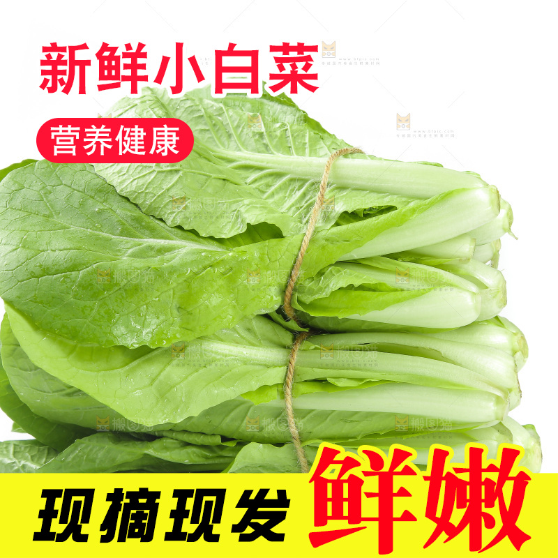白底上放着一堆小白菜