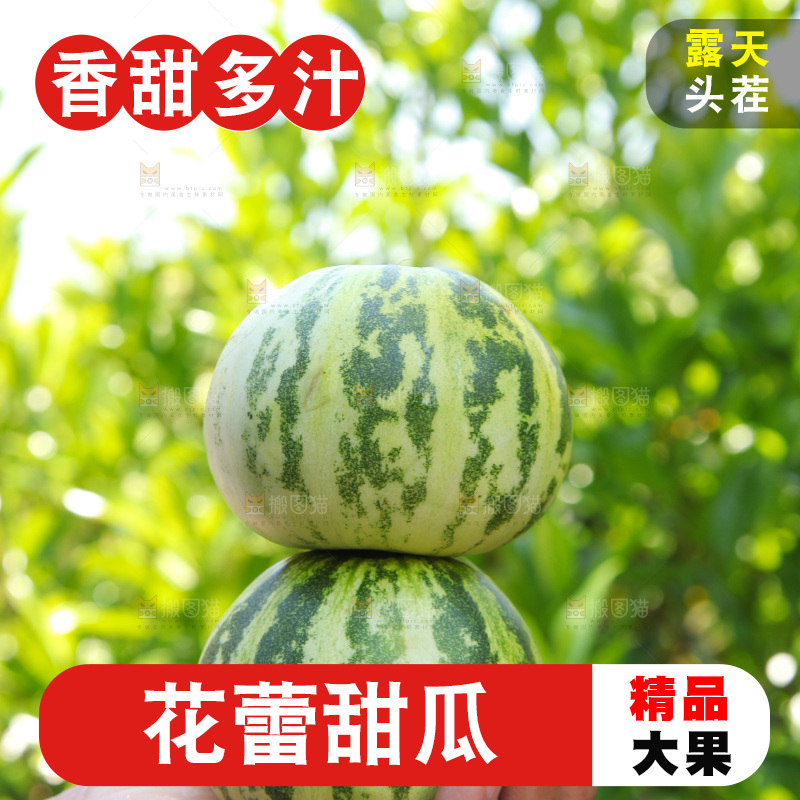 手里拿着花皮甜瓜