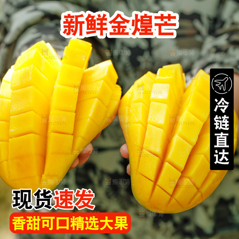 手里拿着金煌芒果肉