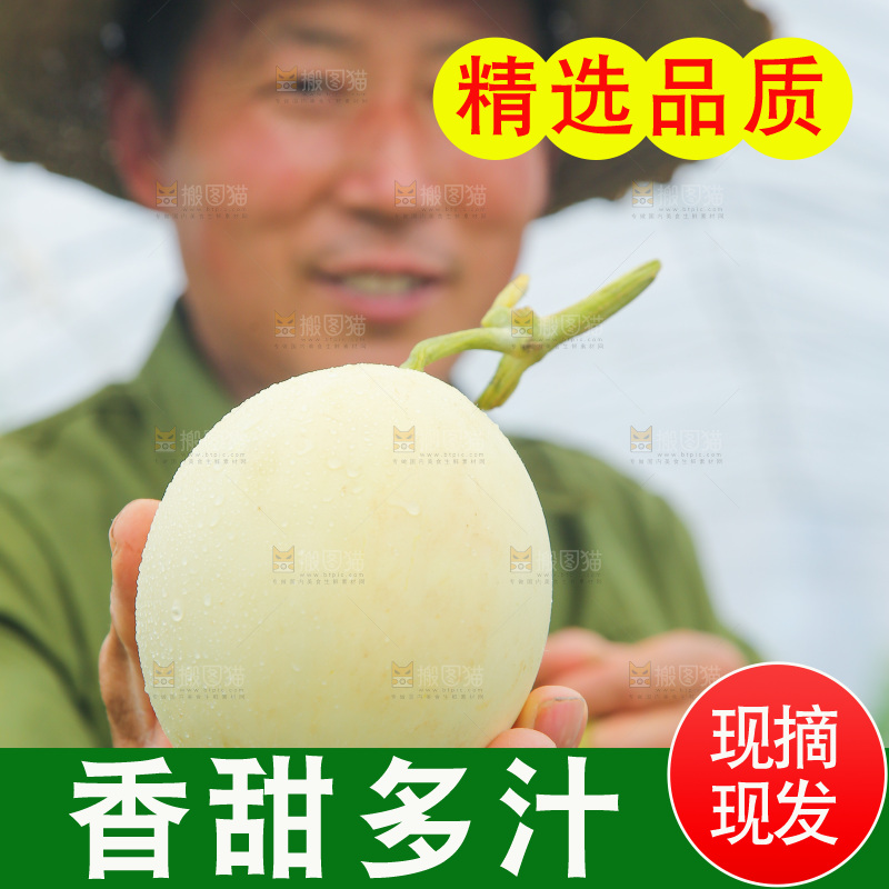 手里拿着阎良甜瓜