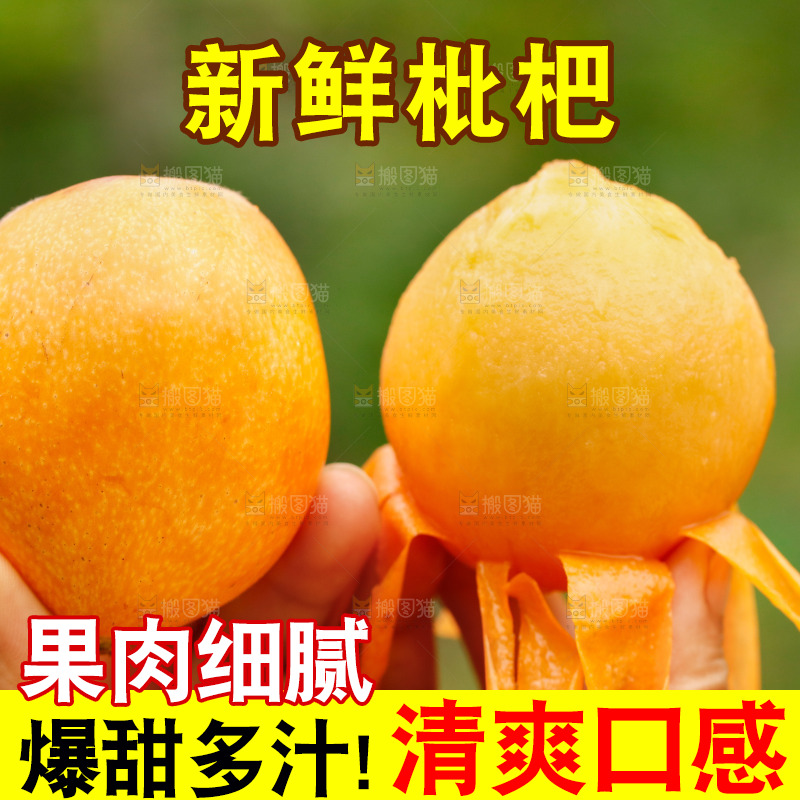 手里拿着枇杷