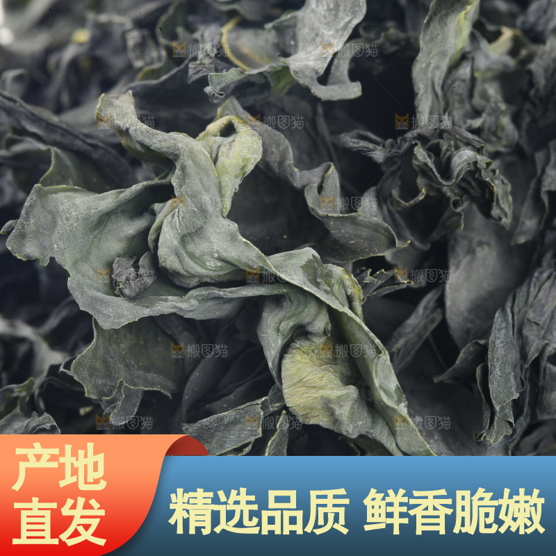 干裙带菜纹理