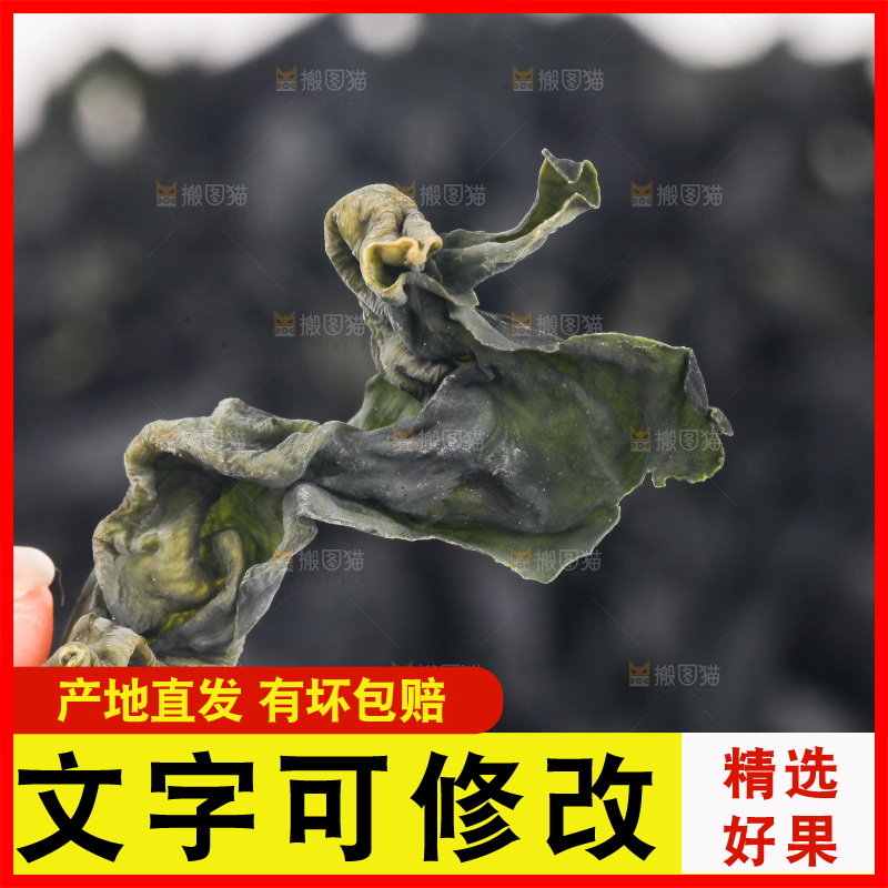 手里拿着裙带菜