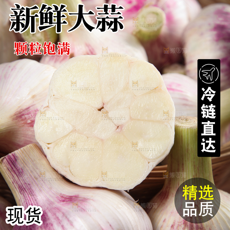 一堆新鲜紫皮大蒜