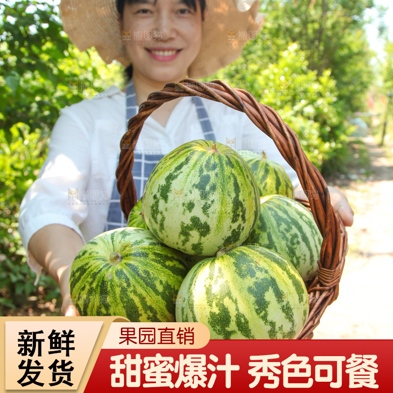 手里端着一篮八里香瓜