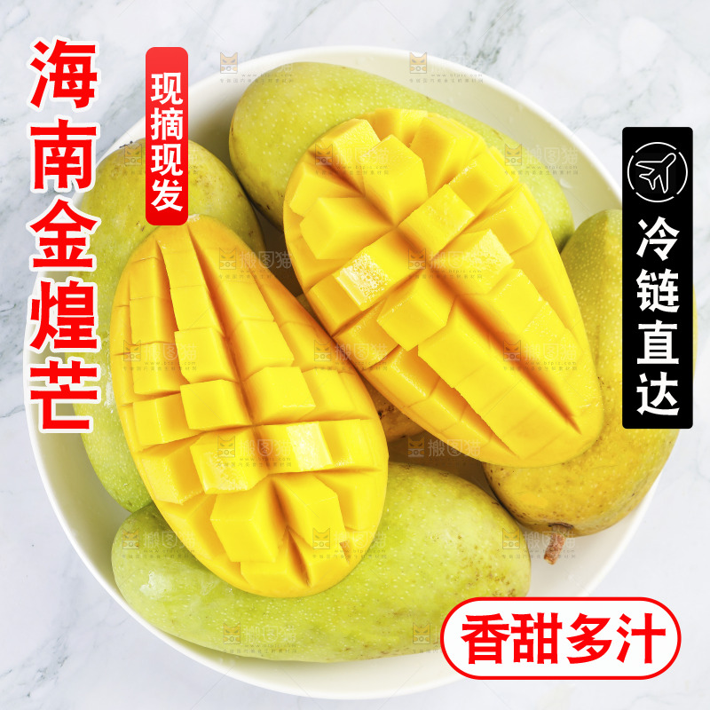 一盘金煌芒