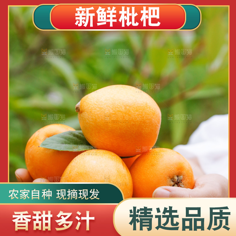 手里捧着枇杷