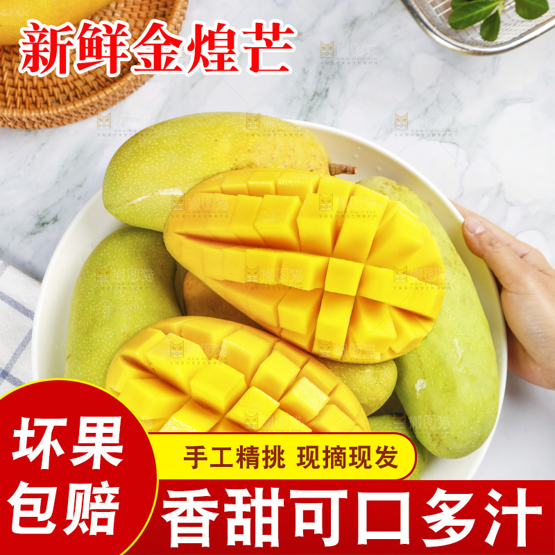 手里端着一盘金煌芒