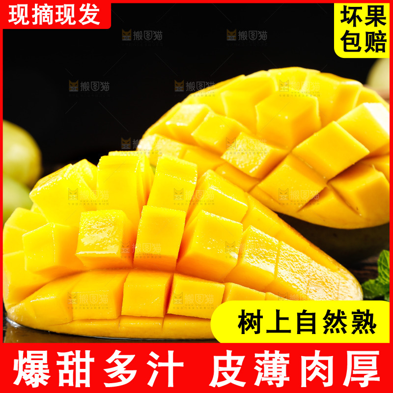 黑底上放着海南金煌芒