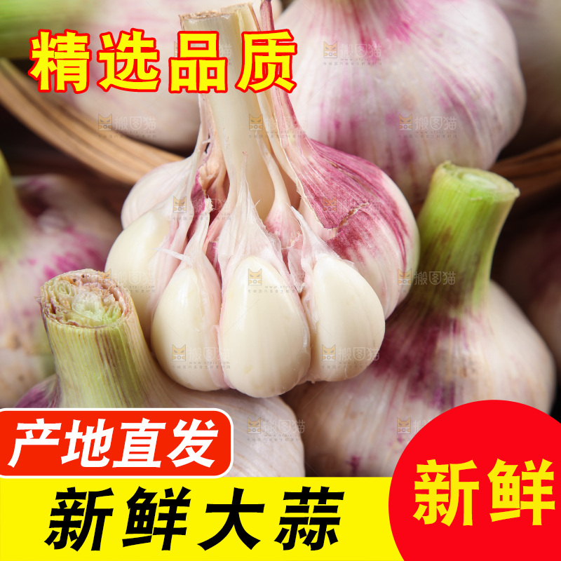 木底上的大蒜头