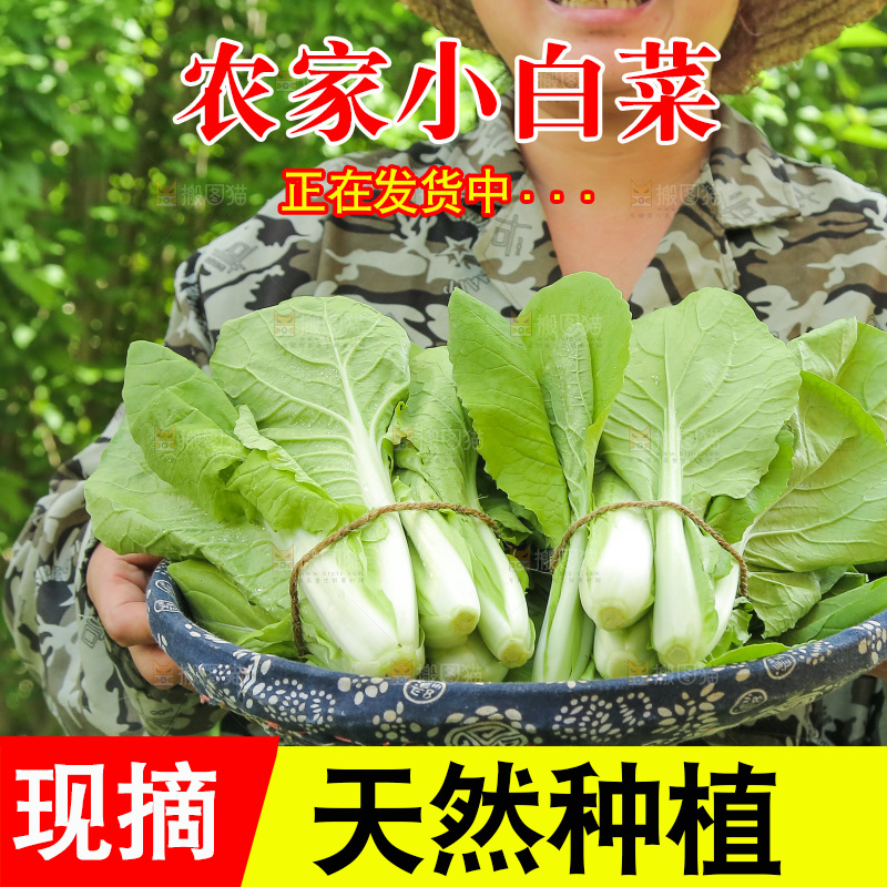 手里端着一篮小白菜