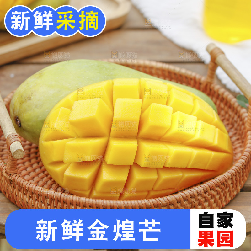 一篮新鲜金煌芒