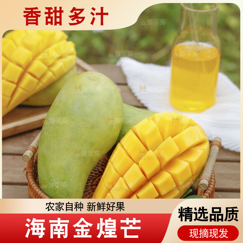 一篮新鲜金煌芒