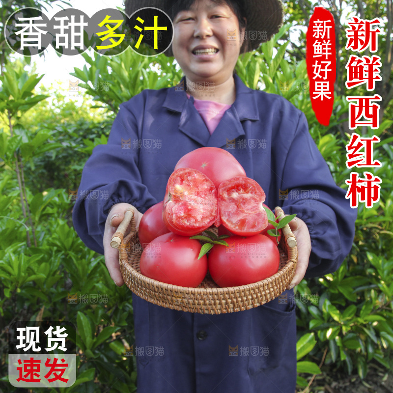 手里端着一篮番茄