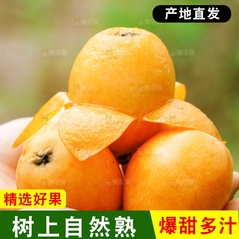 手里捧着枇杷