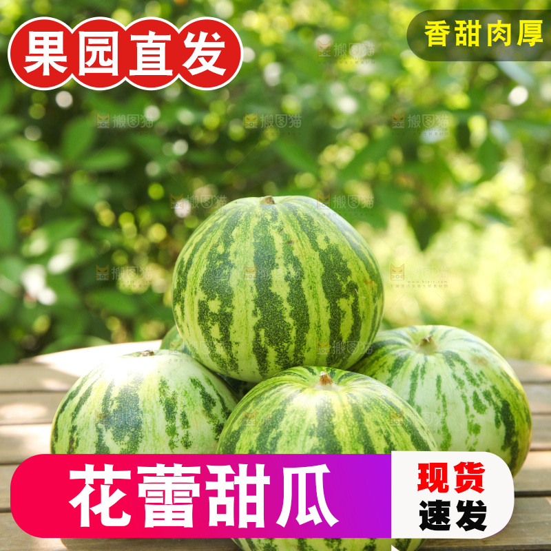 桌子上放着一堆新鲜花蕾甜瓜