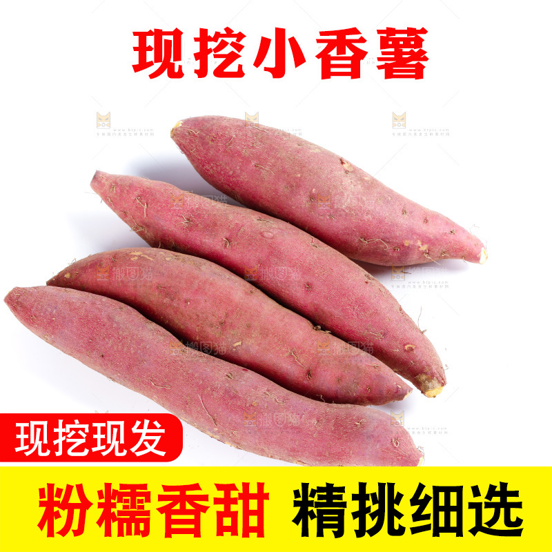 白底上的临安小香薯