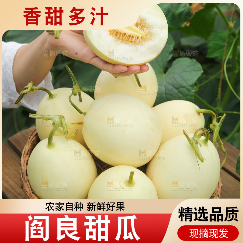 手里拿着阎良甜瓜