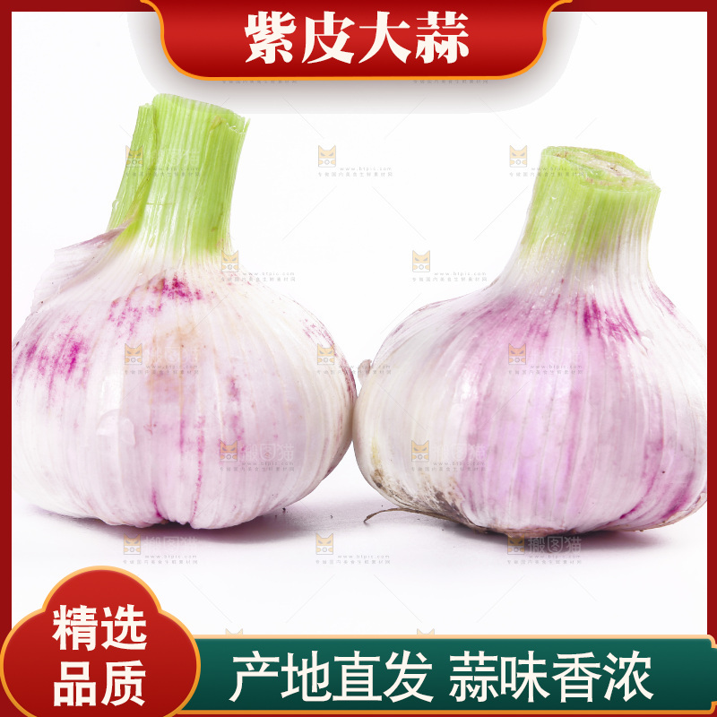 白底上的紫皮大蒜
