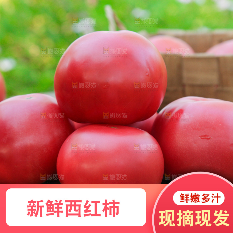一堆普罗旺斯西红柿