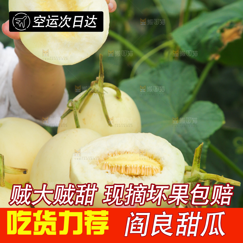 手拿着阎良香瓜