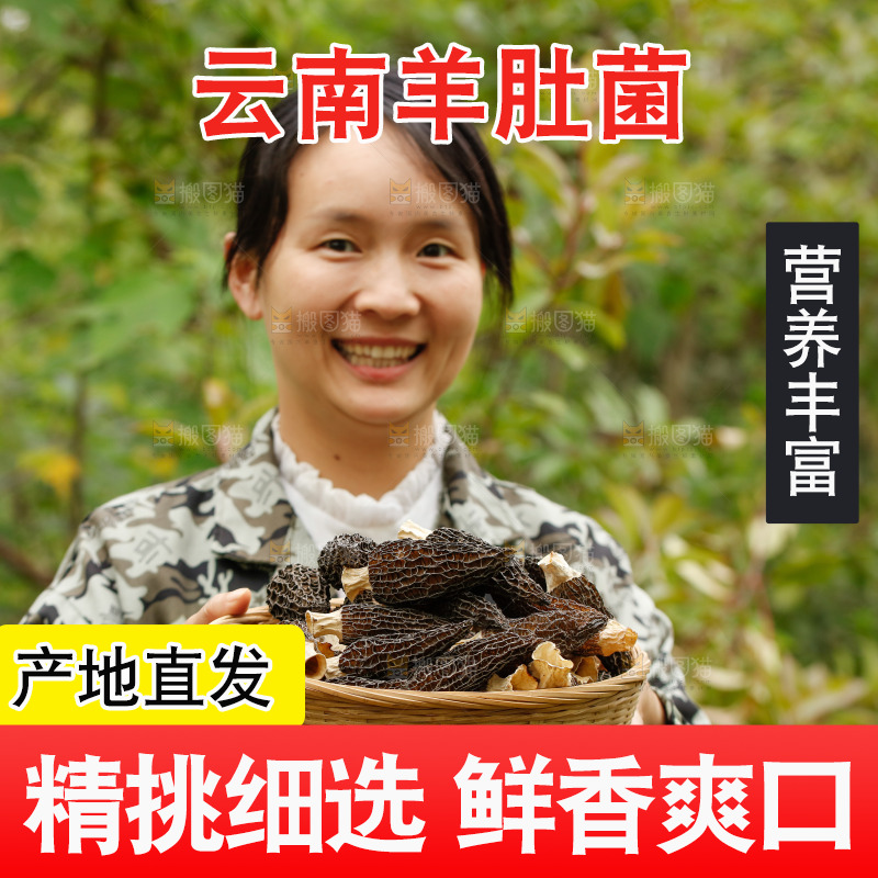 手里拿着一篮干羊肚菌