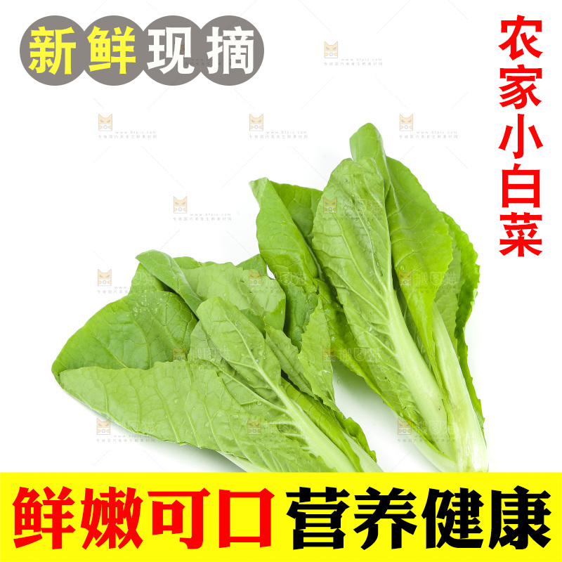 白底上放着小白菜