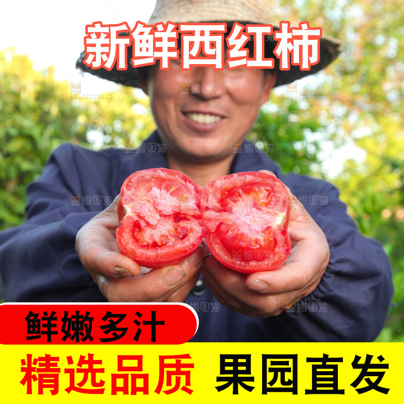 手里拿着两半西红柿
