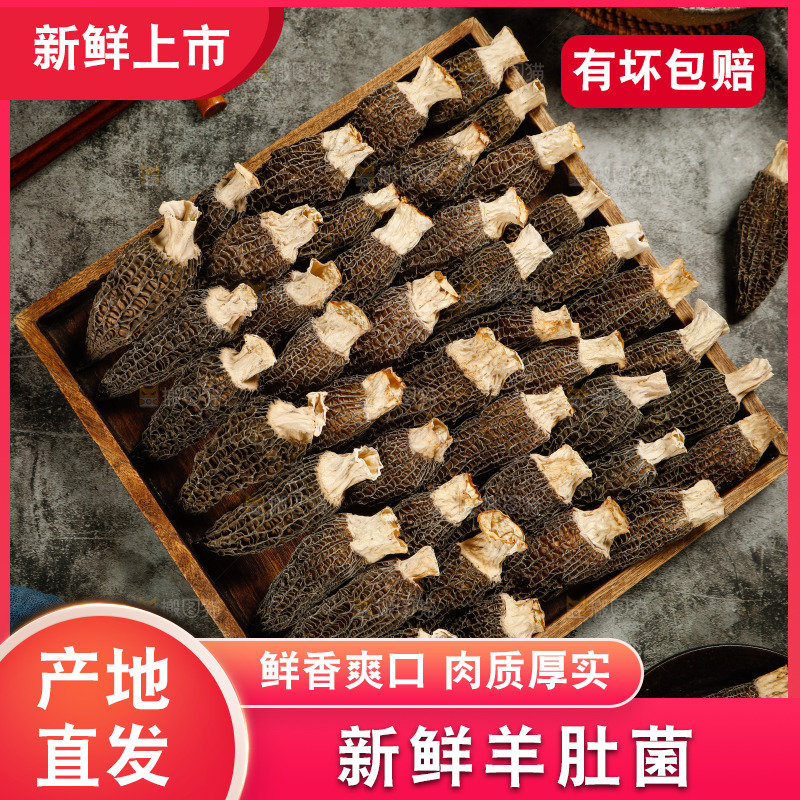 一盘有柄羊肚菌