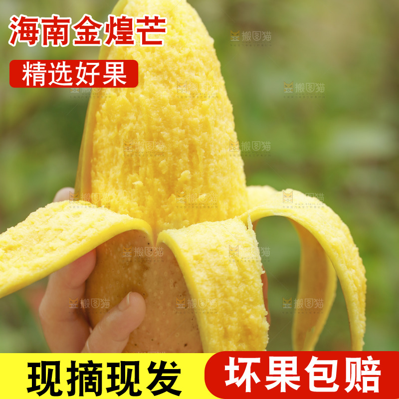 手里拿着芒果