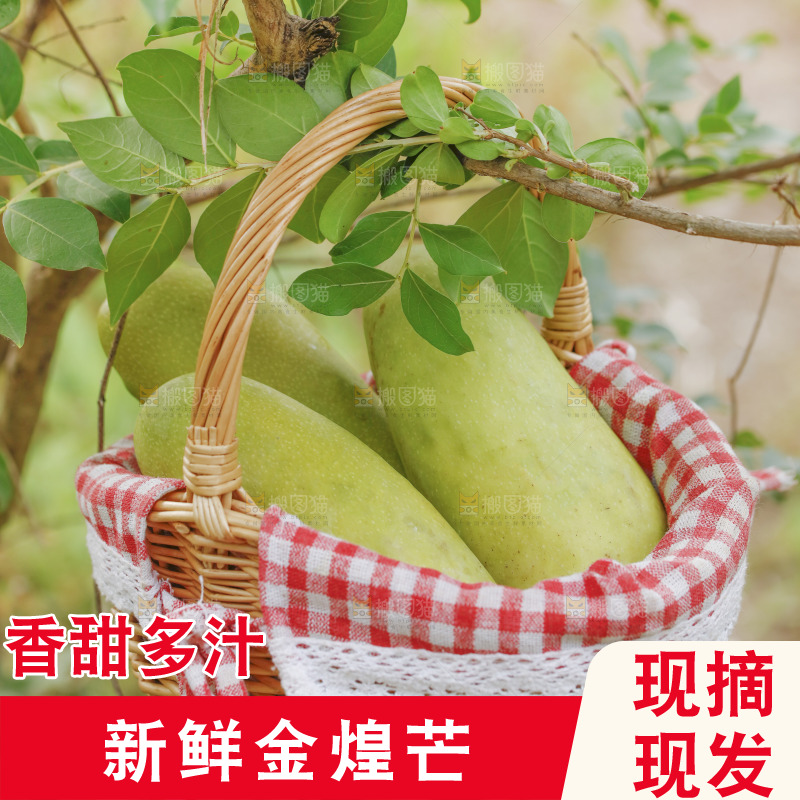 一篮金煌芒