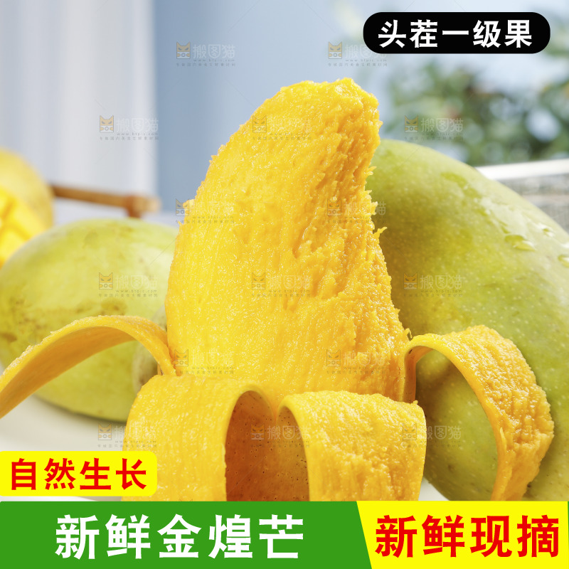 一盘金煌芒