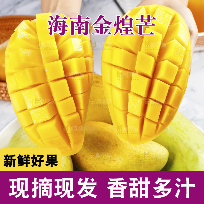手里拿着金煌芒果