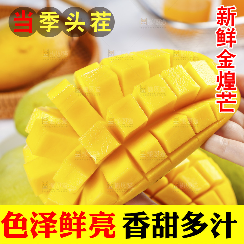 手里拿着金煌芒果