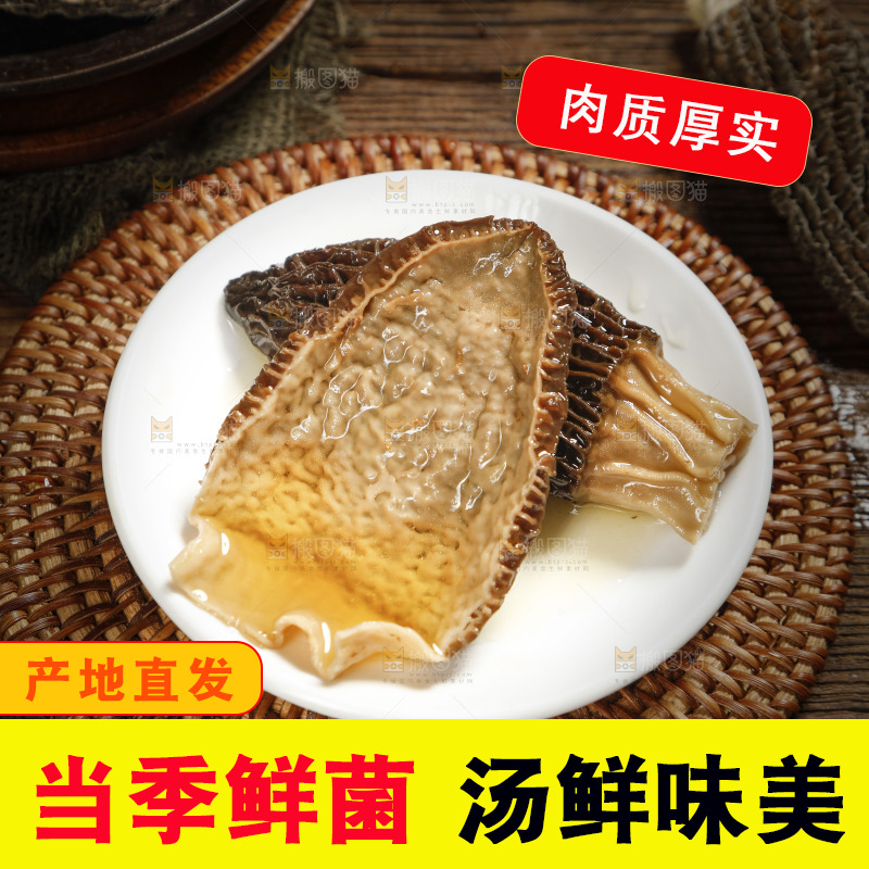盘子里的羊肚菌