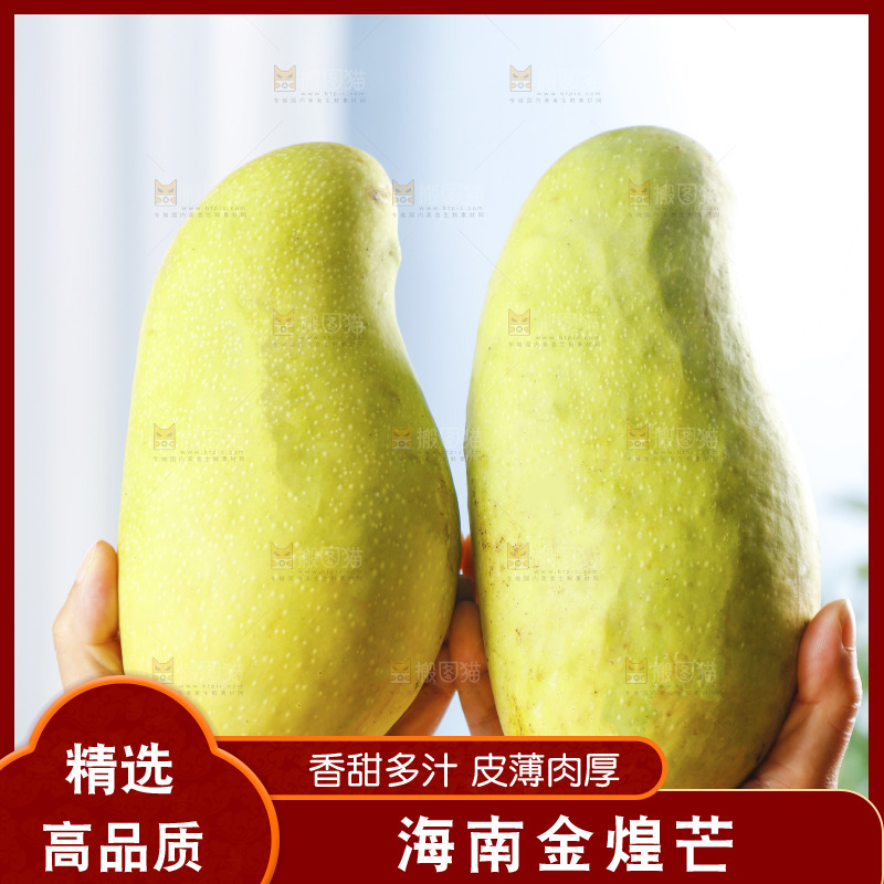 手里拿着大金煌芒
