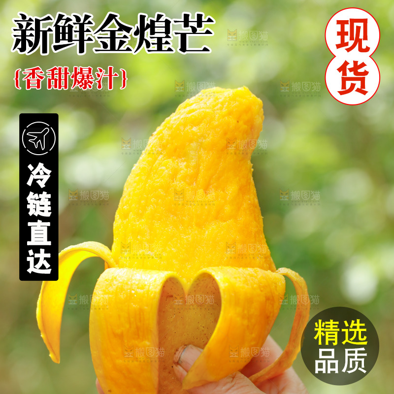手里拿着水仙芒
