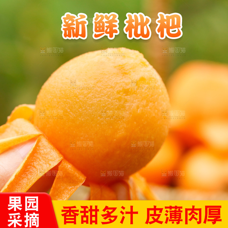 手里拿着枇杷