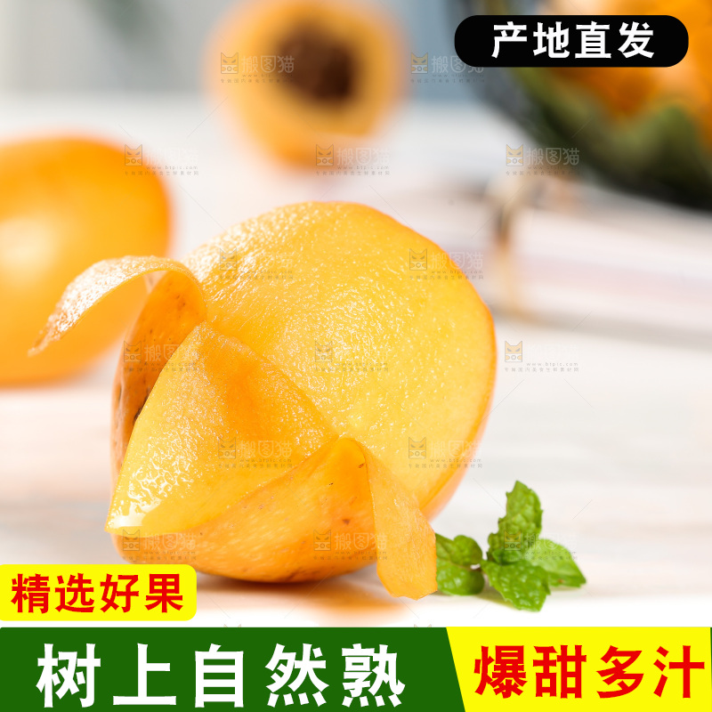 白底上的枇杷