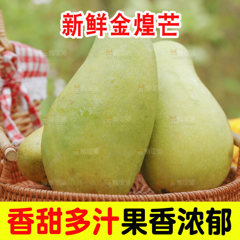 一篮新鲜金煌芒