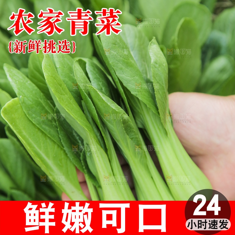 手里拿着小青菜