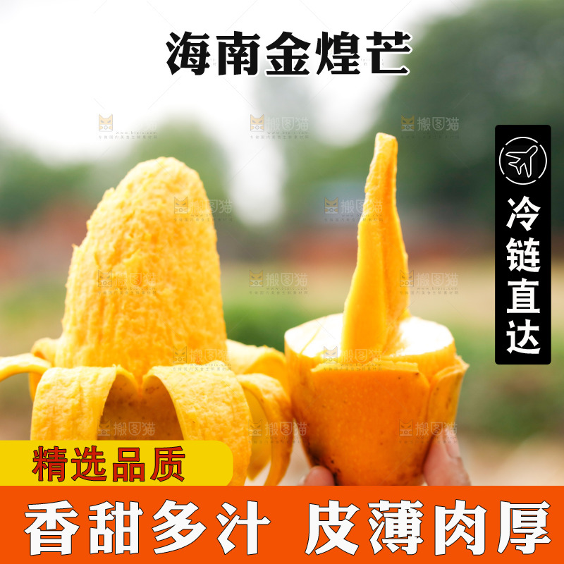 手里拿着金煌芒