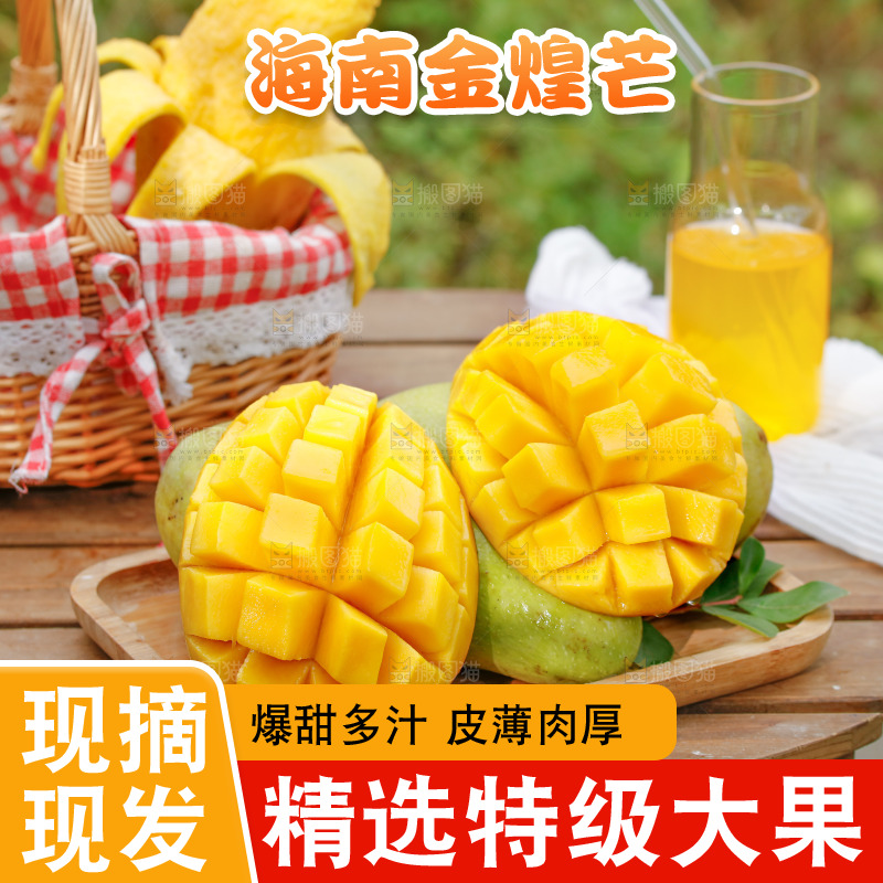 一盘水仙芒