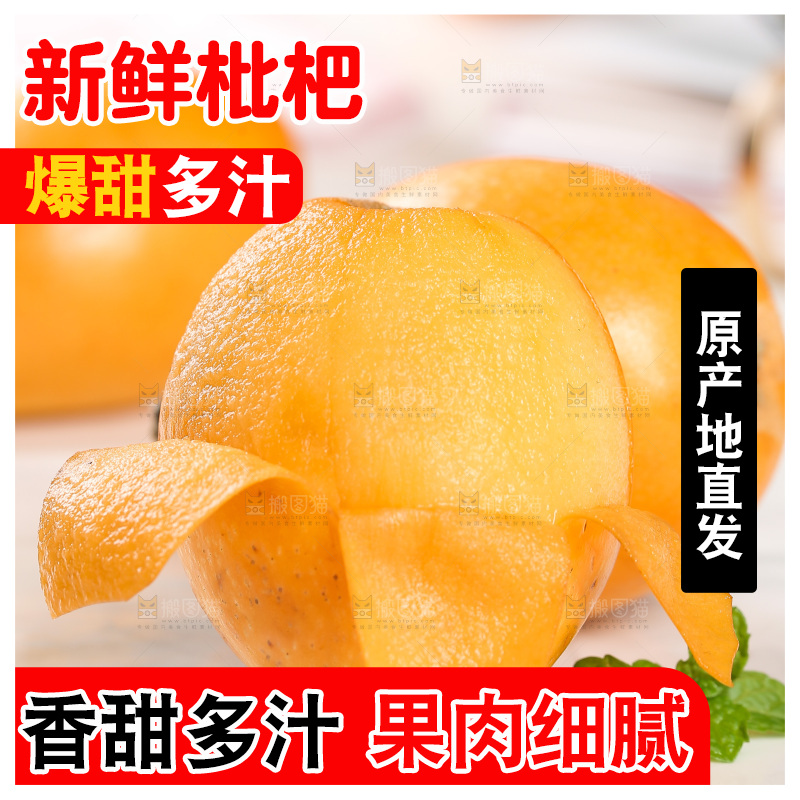 白底上的枇杷