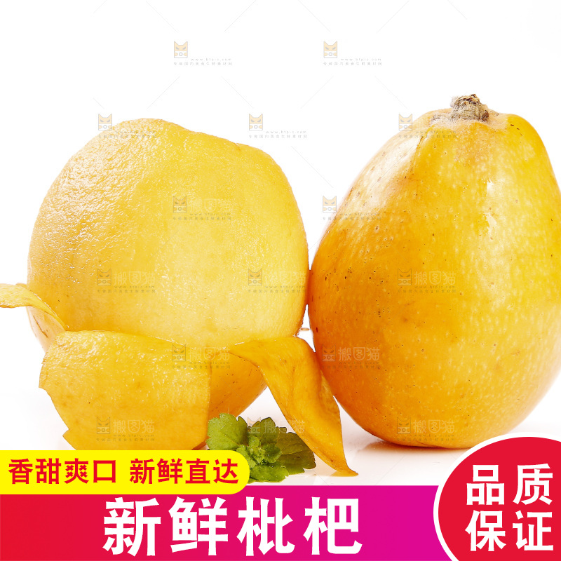 白底上的米易枇杷