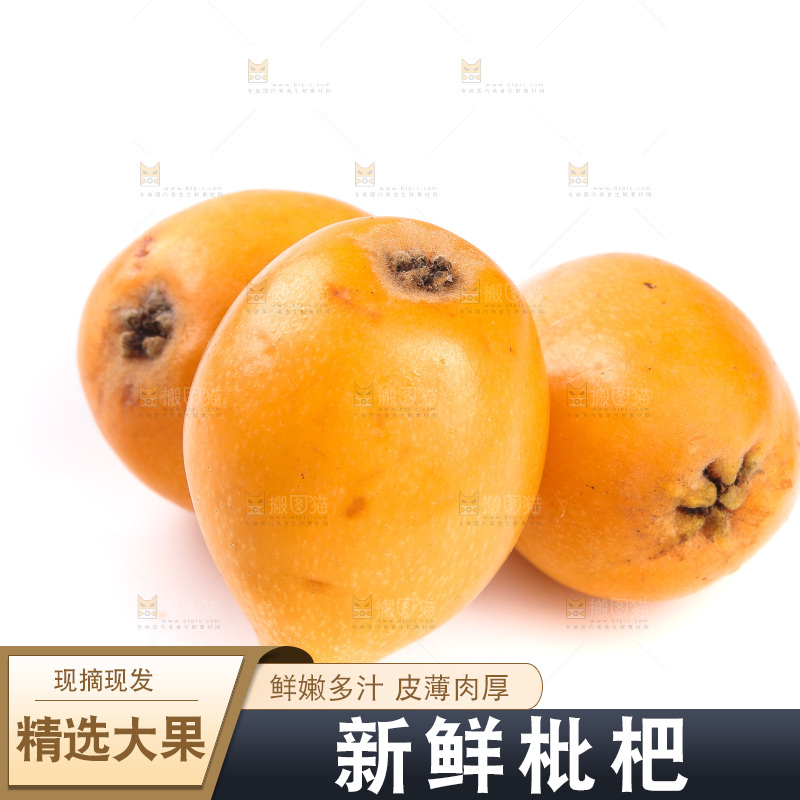 白底上的米易枇杷